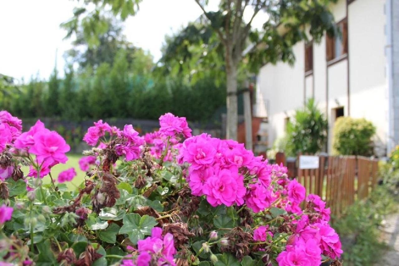 Casa Rural Zelaieta Berribi Itziar Esterno foto